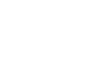 Ch-SERVICE / VOTRE EXPERT HANDICAP